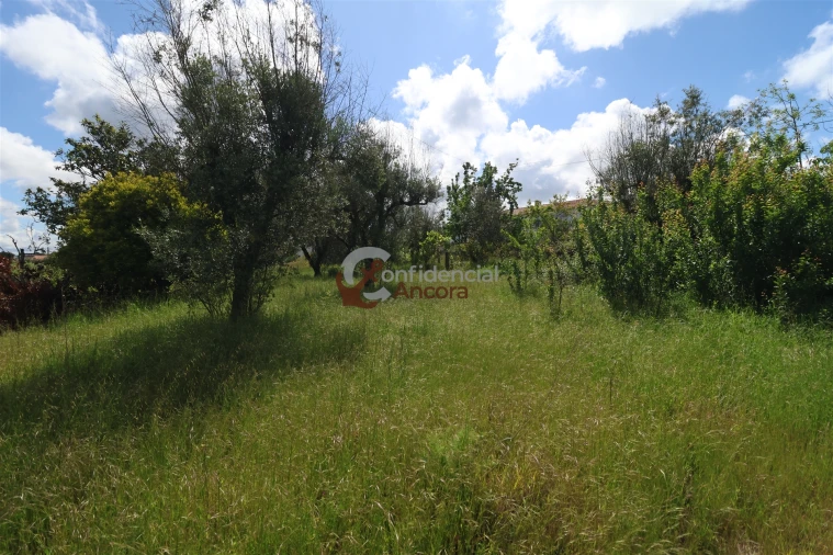 Quinta T3 para Venda em Rio Torto e Lagarinhos Foto 22
