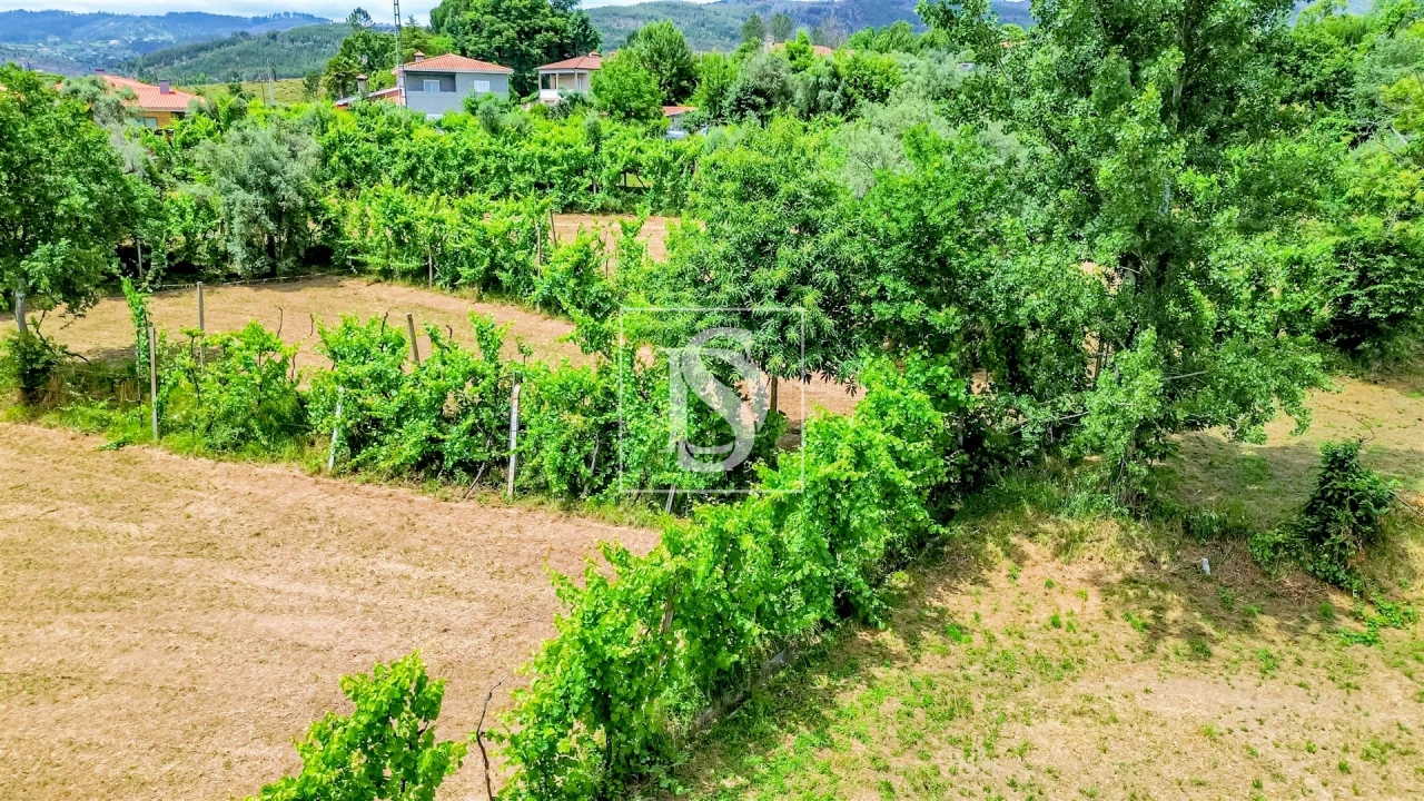 Terreno para Venda em Vila Garcia, Aboim e Chapa Foto 8
