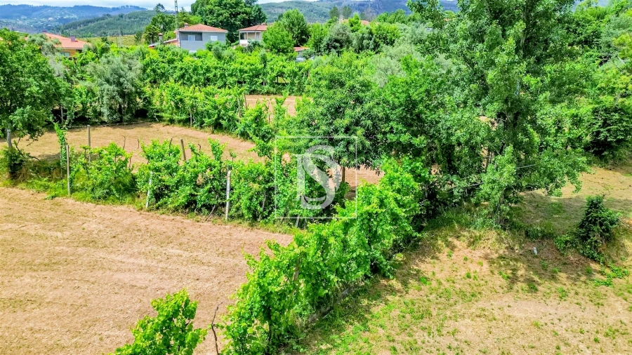 Terreno para Venda em Vila Garcia, Aboim e Chapa Foto 8