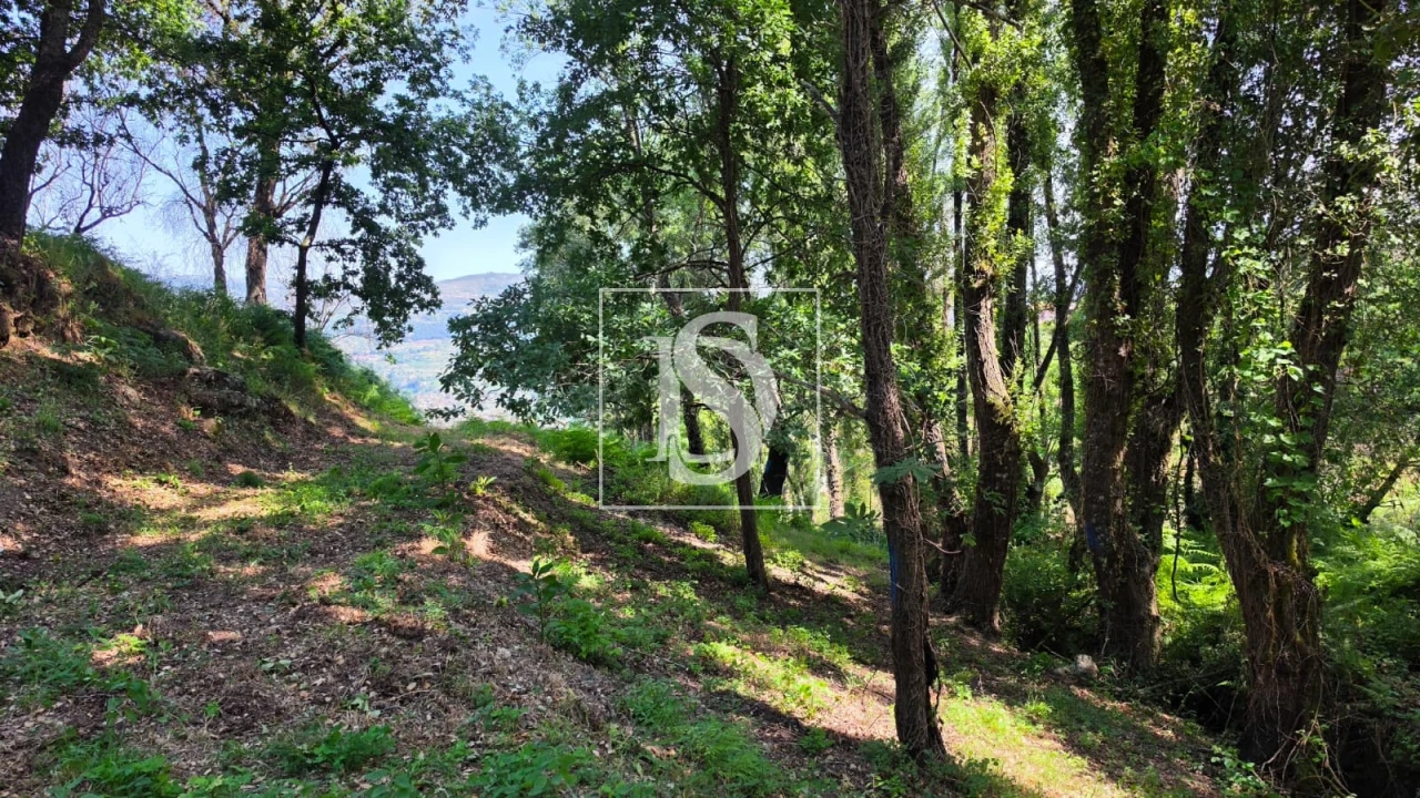 Moradia T1 para Venda em Gove Foto 37