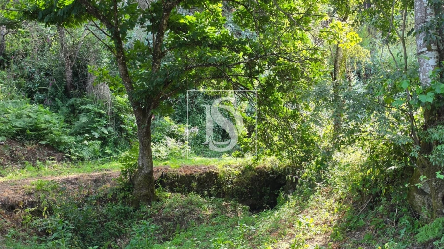 Moradia T1 para Venda em Gove Foto 20