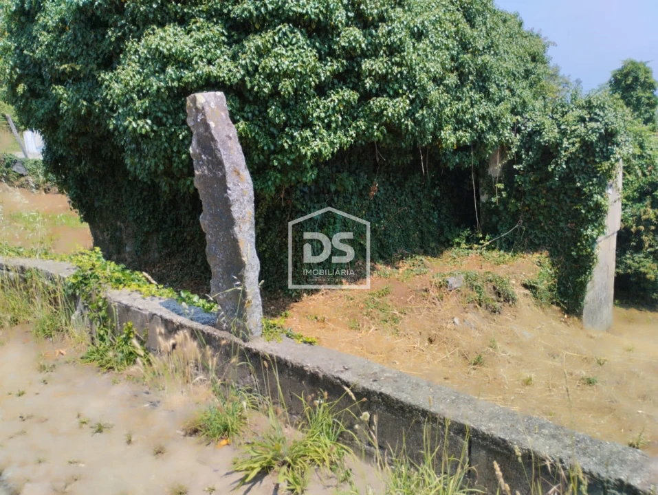 Moradia T2 para Venda em Freixo de Cima e de Baixo Foto 18