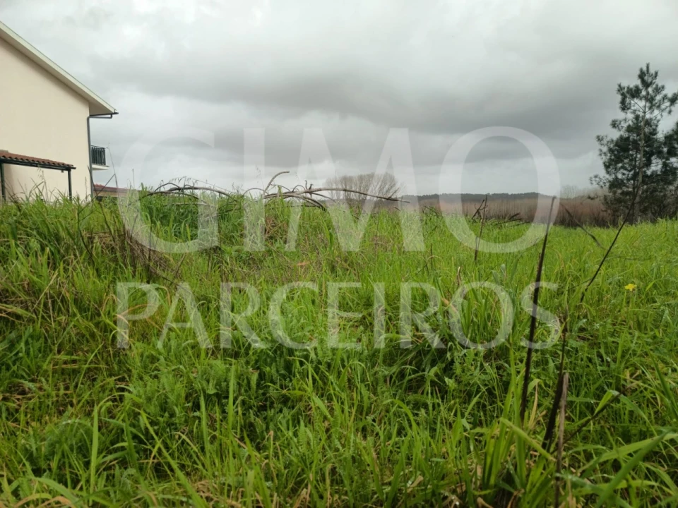 Terreno para Venda em Fermentelos Foto 3