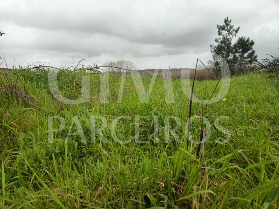 Terreno para Venda em Fermentelos Foto 1