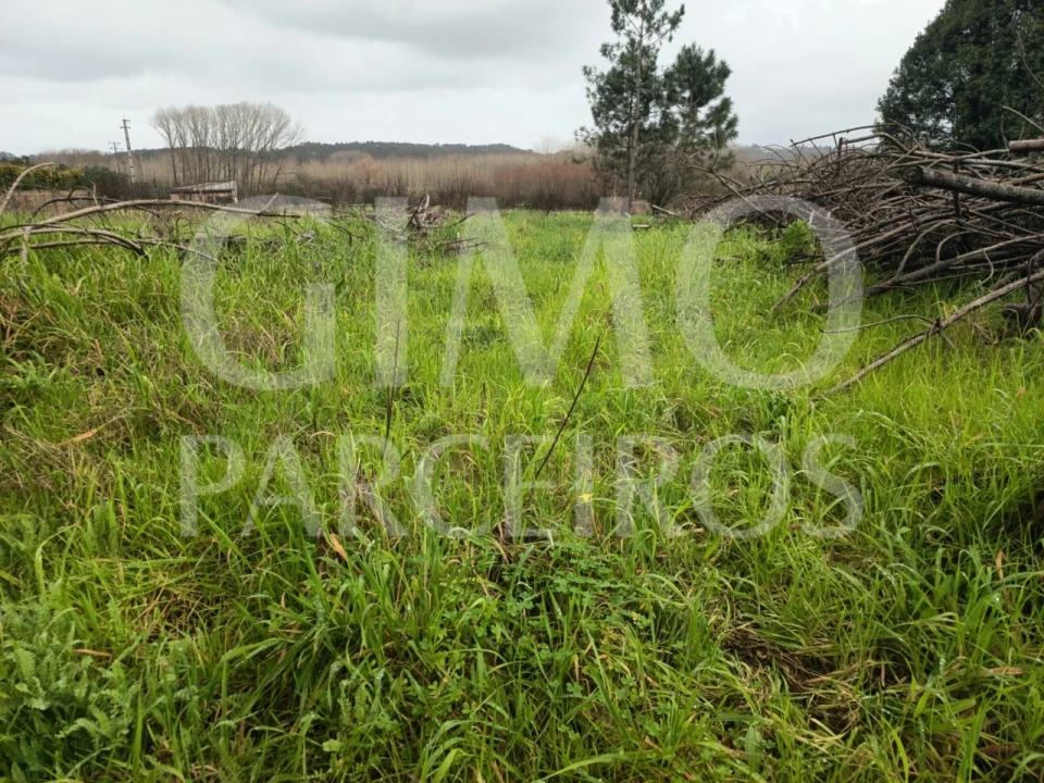 Terreno para Venda em Fermentelos Foto 4