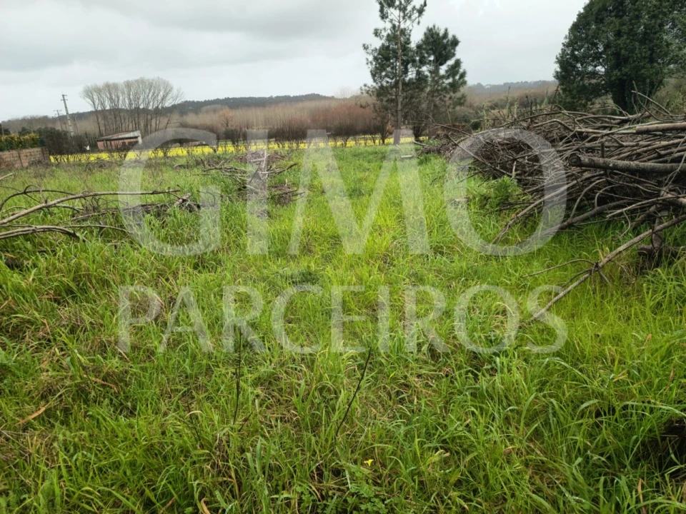 Terreno para Venda em Fermentelos Foto 5
