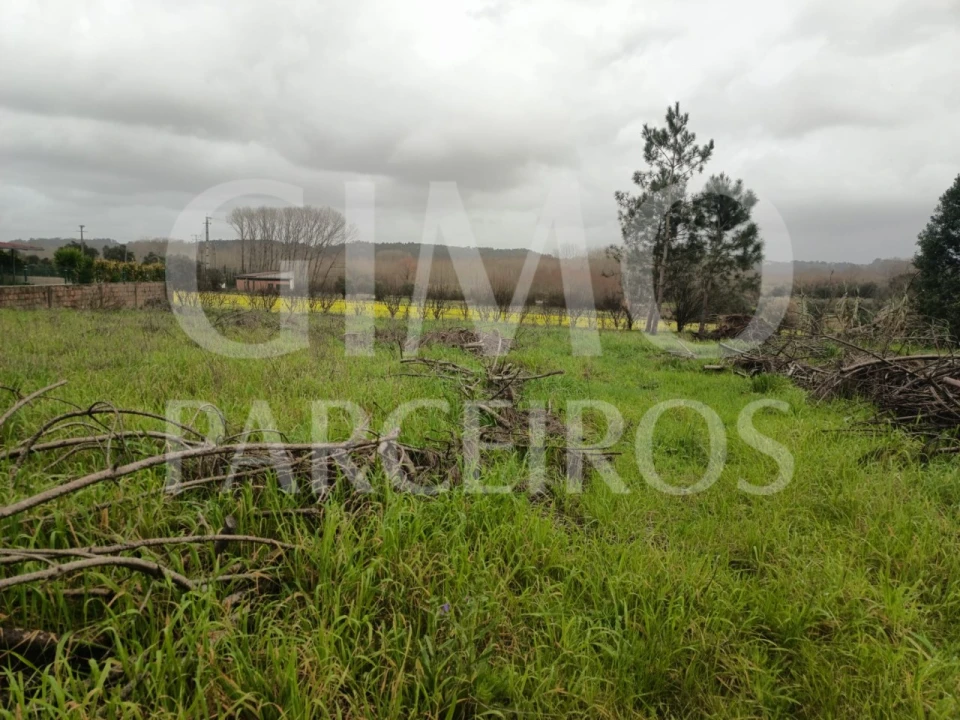 Terreno para Venda em Fermentelos Foto 6