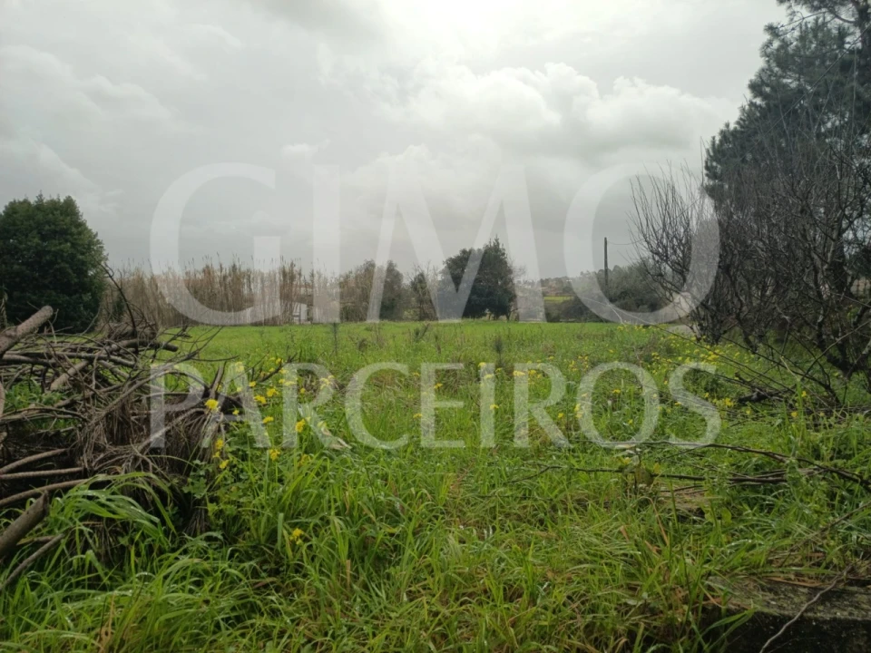 Terreno para Venda em Fermentelos Foto 8