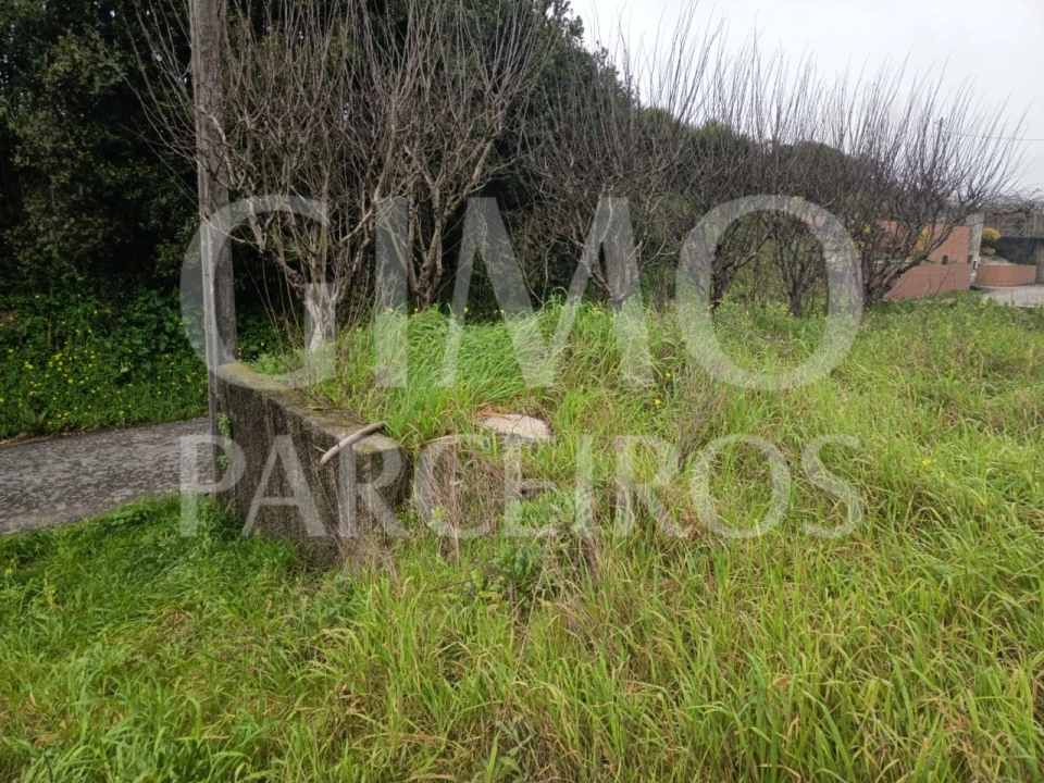 Terreno para Venda em Fermentelos Foto 9