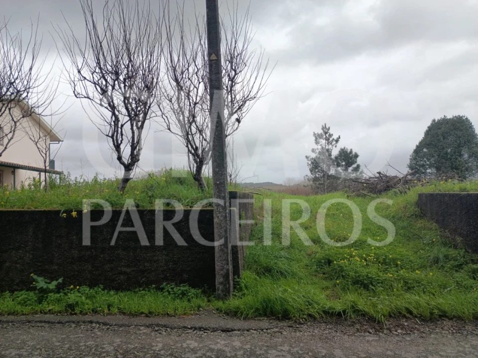 Terreno para Venda em Fermentelos Foto 10