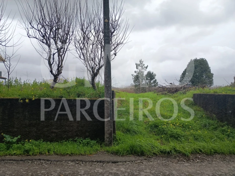 Terreno para Venda em Fermentelos Foto 11