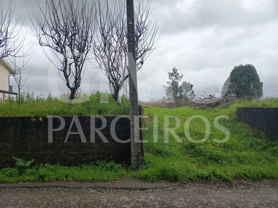 Terreno para Venda em Fermentelos Foto 12