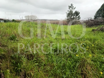 Terreno para Venda em Fermentelos