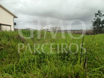 Terreno para Venda em Fermentelos