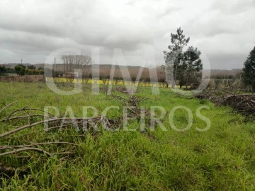 Terreno para Venda em Fermentelos