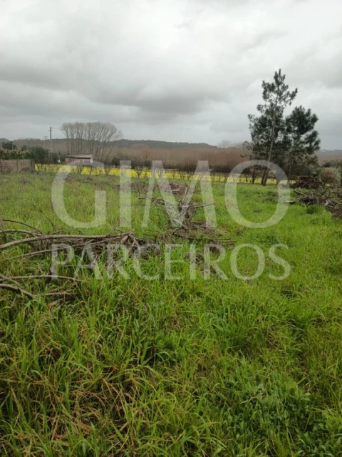 Terreno para Venda em Fermentelos