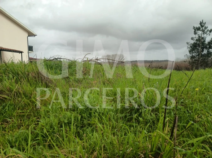 Terreno para Venda em Fermentelos Foto 3