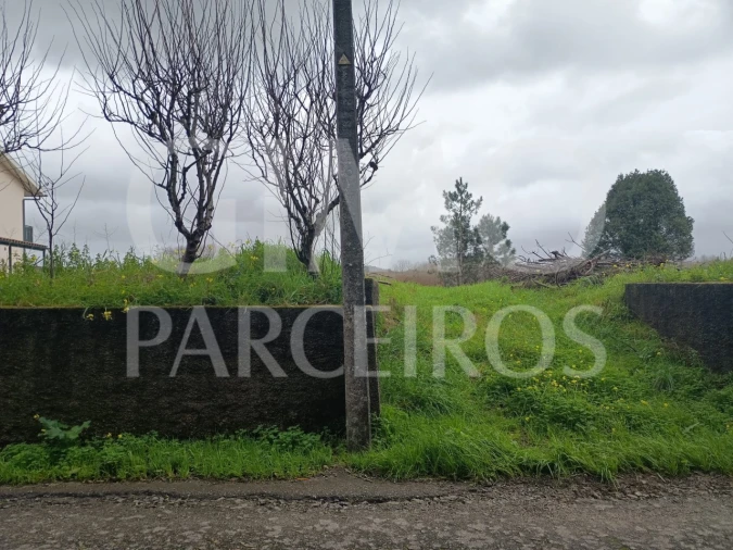 Terreno para Venda em Fermentelos Foto 12