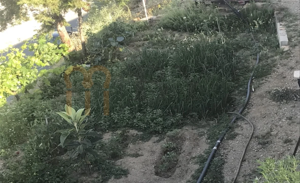 Negócio para Venda em Mertola Foto 49