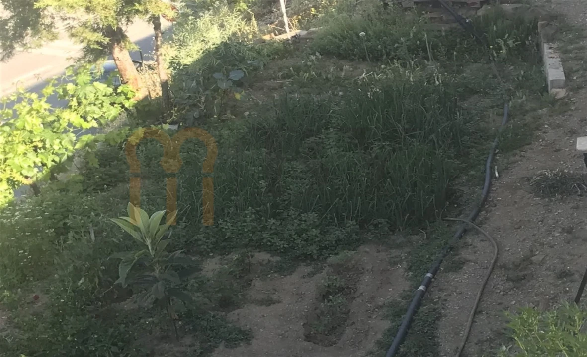 Negócio para Venda em Mertola Foto 48