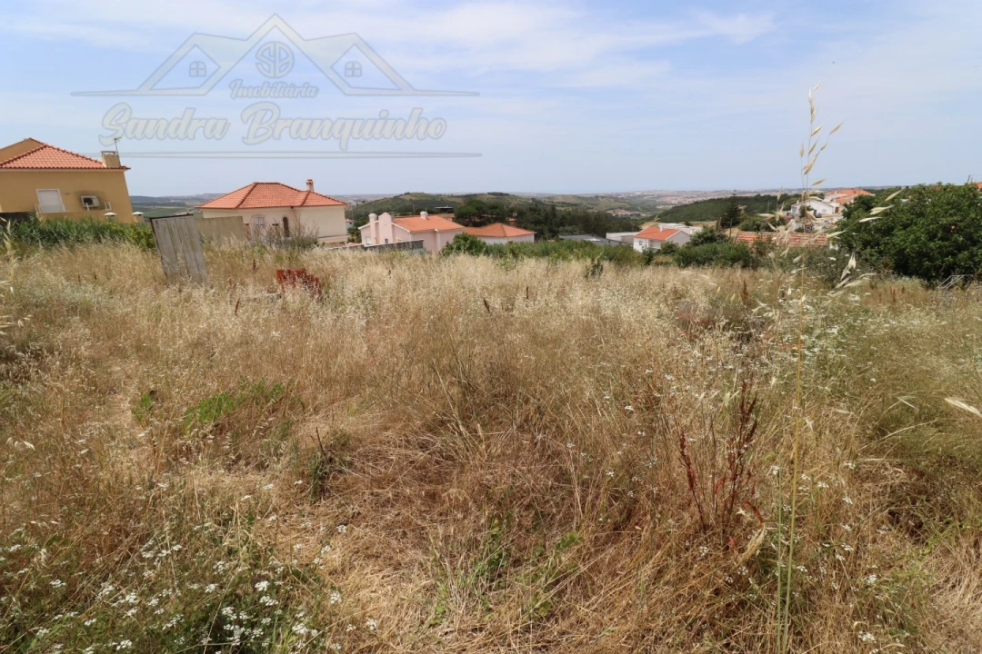Moradia T3 para Venda em Santa Maria, São Pedro e Matacães Foto 14