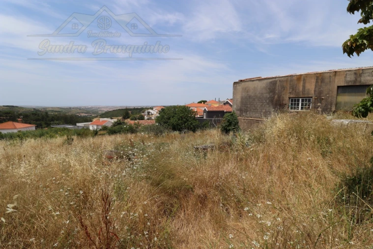 Moradia T3 para Venda em Santa Maria, São Pedro e Matacães Foto 11