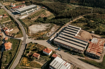 Terreno Comércio / Armazém para Venda em Penacova