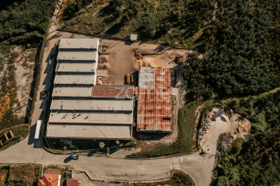 Terreno Comércio / Armazém para Venda em Penacova