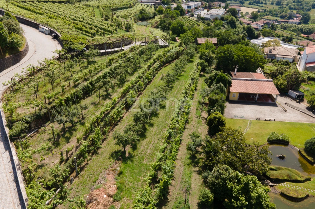 Quinta T6 para Venda em Escudeiros e Penso (Santo Estêvão e São Vicente) Foto 60