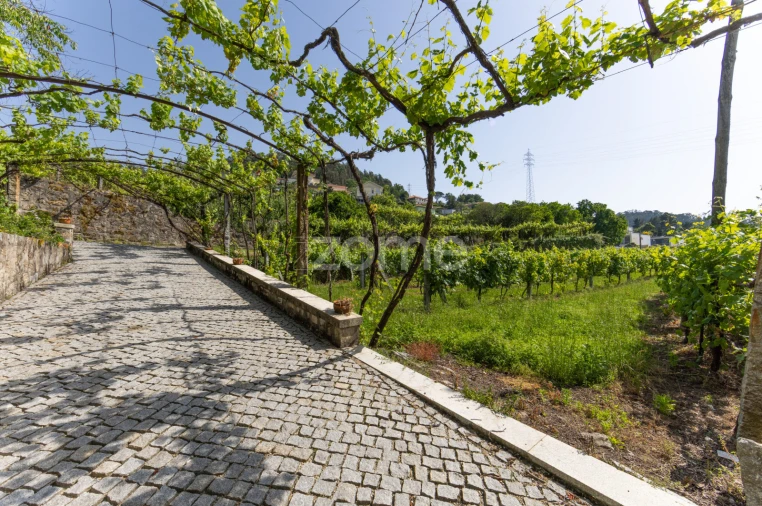 Quinta T6 para Venda em Escudeiros e Penso (Santo Estêvão e São Vicente) Foto 53