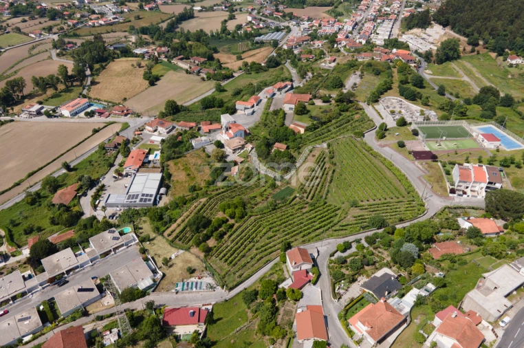 Quinta T6 para Venda em Escudeiros e Penso (Santo Estêvão e São Vicente) Foto 61