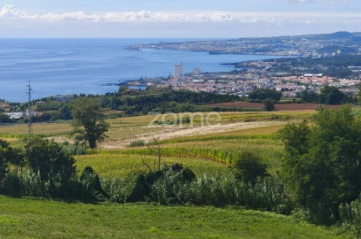 Terreno para Venda em Lagoa (Santa Cruz)