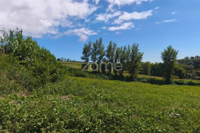 Terreno para Venda em Lagoa (Santa Cruz)