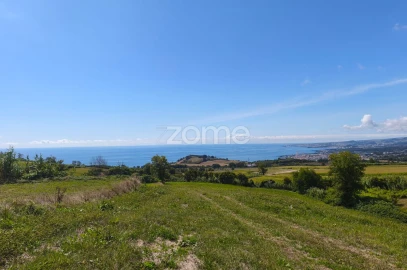 Terreno para Venda em Lagoa (Santa Cruz)