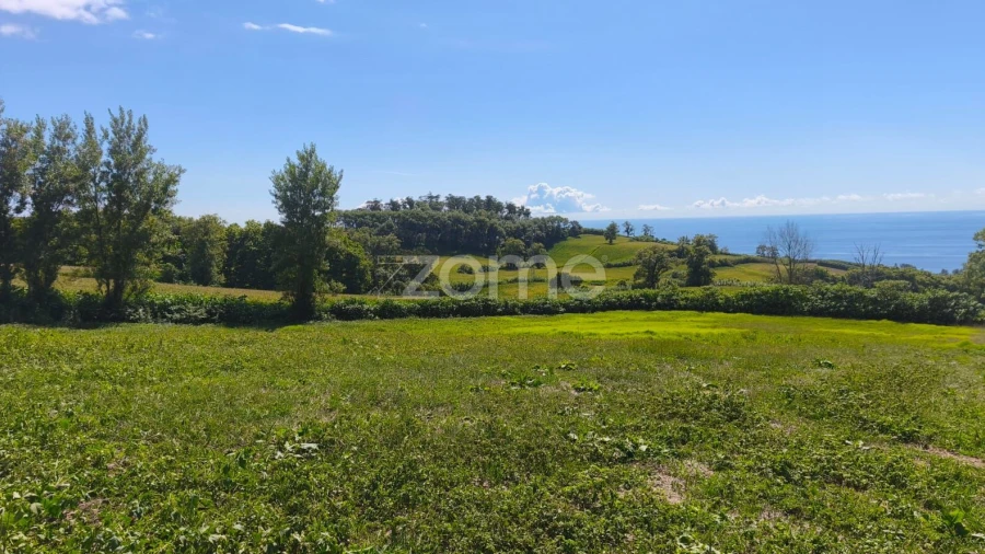 Terreno para Venda em Lagoa (Santa Cruz)