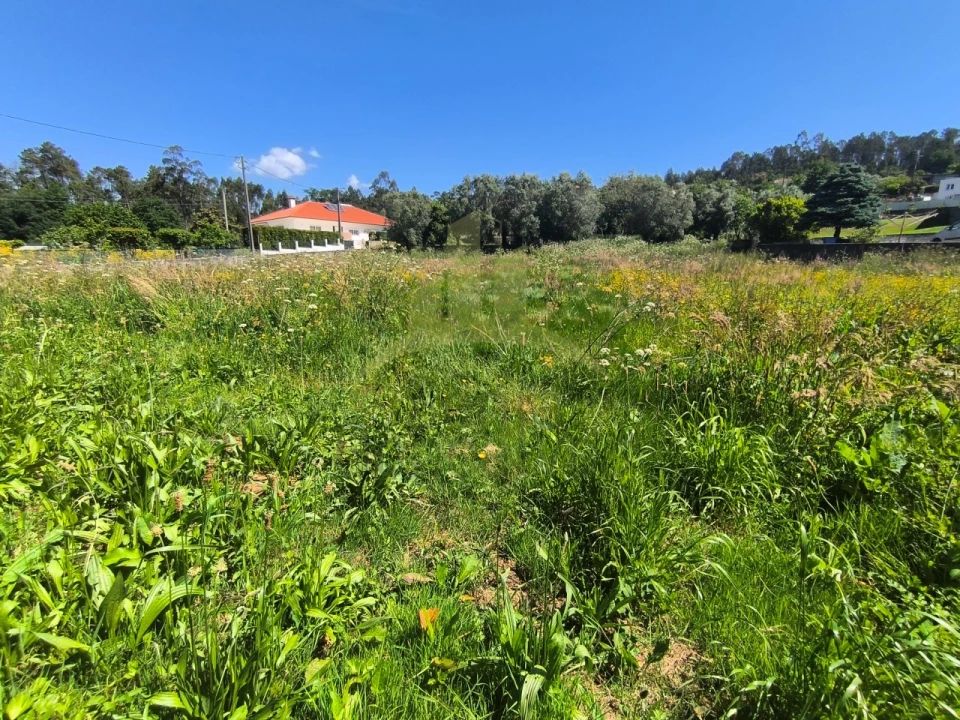 Terreno para Venda em Nogueira, Meixedo e Vilar de Murteda Foto 7