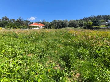 Terreno para Venda em Nogueira, Meixedo e Vilar de Murteda