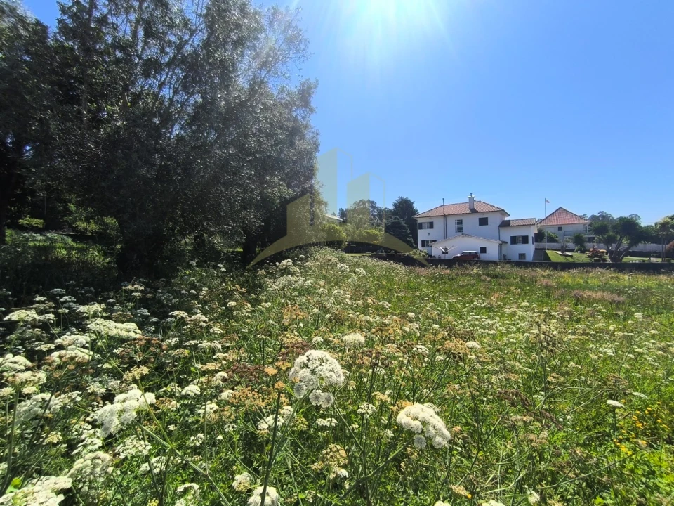 Terreno para Venda em Nogueira, Meixedo e Vilar de Murteda Foto 6