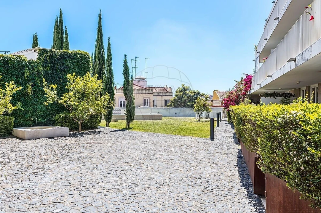 Apartamento T4 para Venda em Santa Maria Maior Foto 5