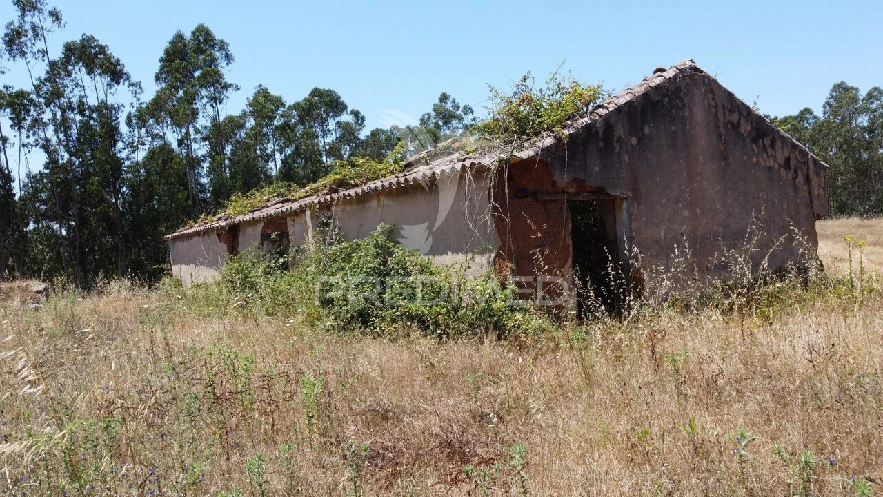 Quinta T0 para Venda em São Salvador e Santa Maria Foto 1