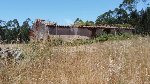 Quinta T0 para Venda em São Salvador e Santa Maria
