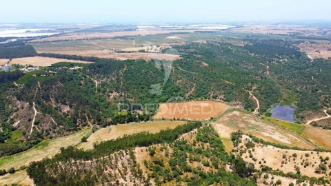 Quinta T0 para Venda em São Salvador e Santa Maria