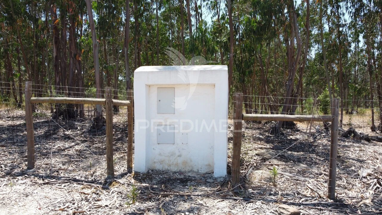 Quinta T0 para Venda em São Salvador e Santa Maria Foto 13