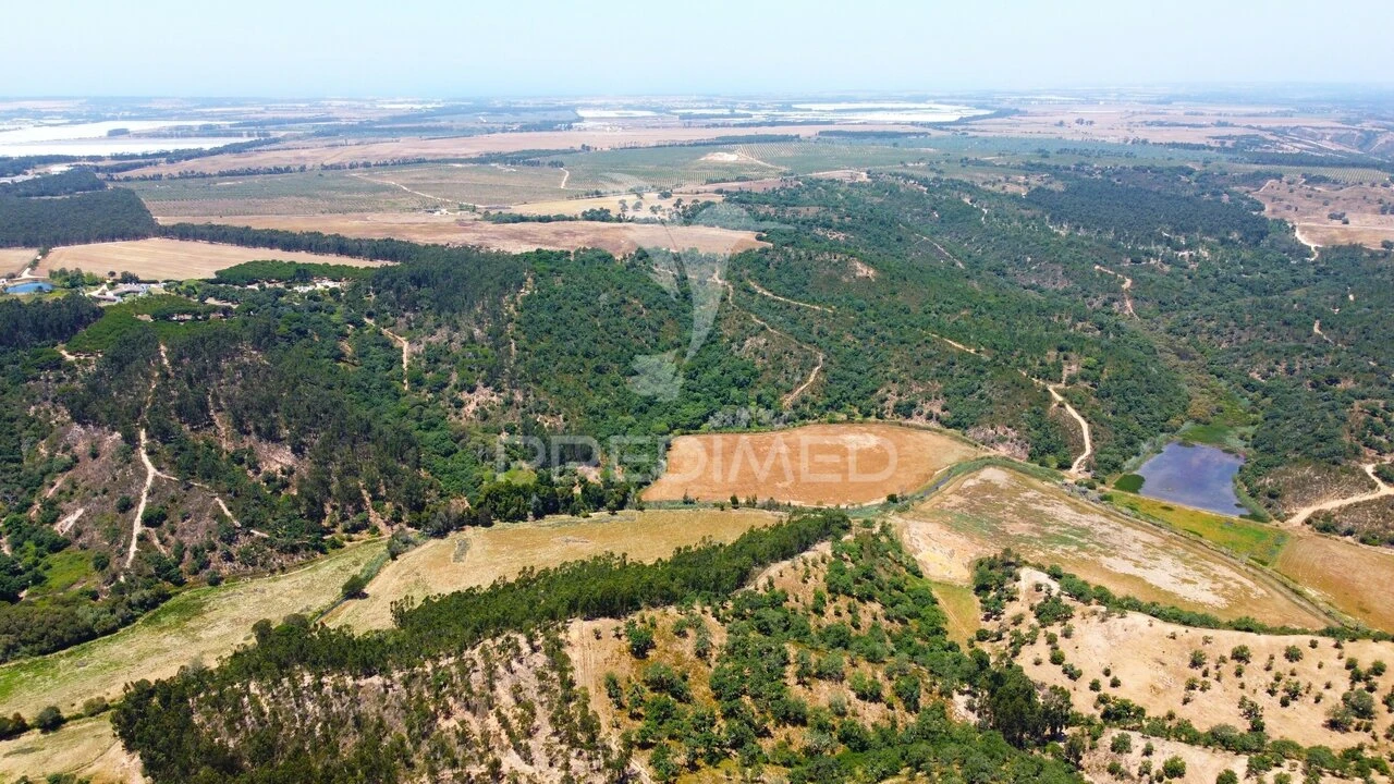 Quinta T0 para Venda em São Salvador e Santa Maria Foto 16