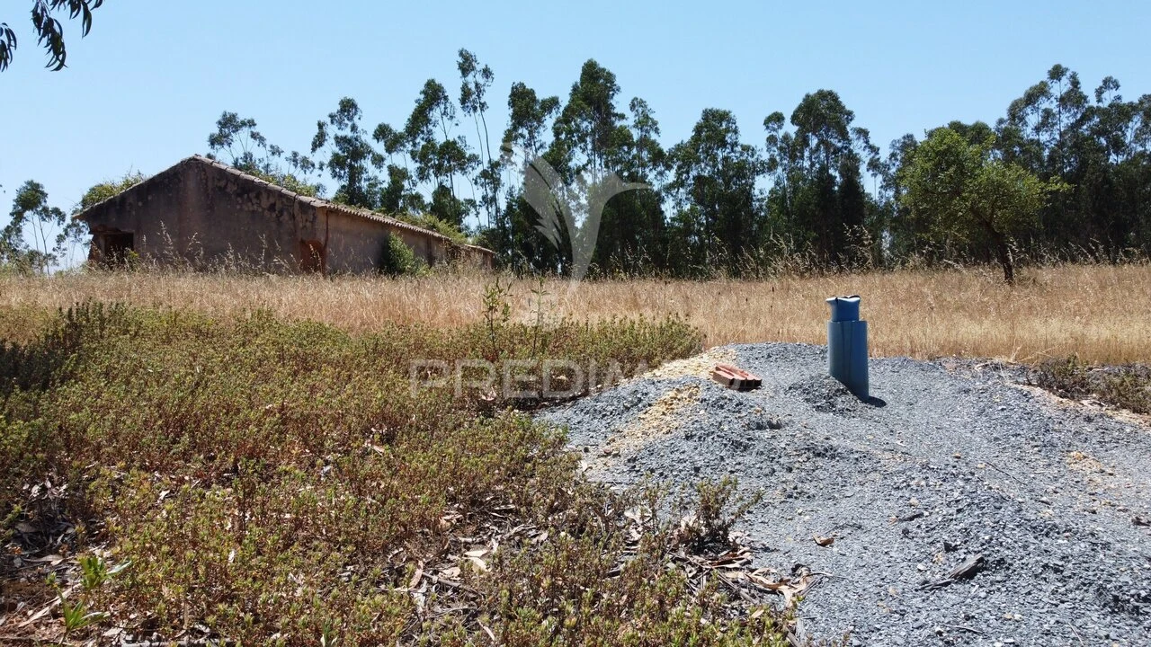 Quinta T0 para Venda em São Salvador e Santa Maria Foto 10