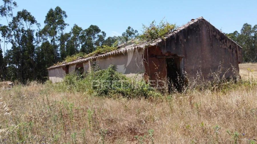 Quinta T0 para Venda em São Salvador e Santa Maria