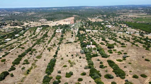 Terreno para Venda em Luz