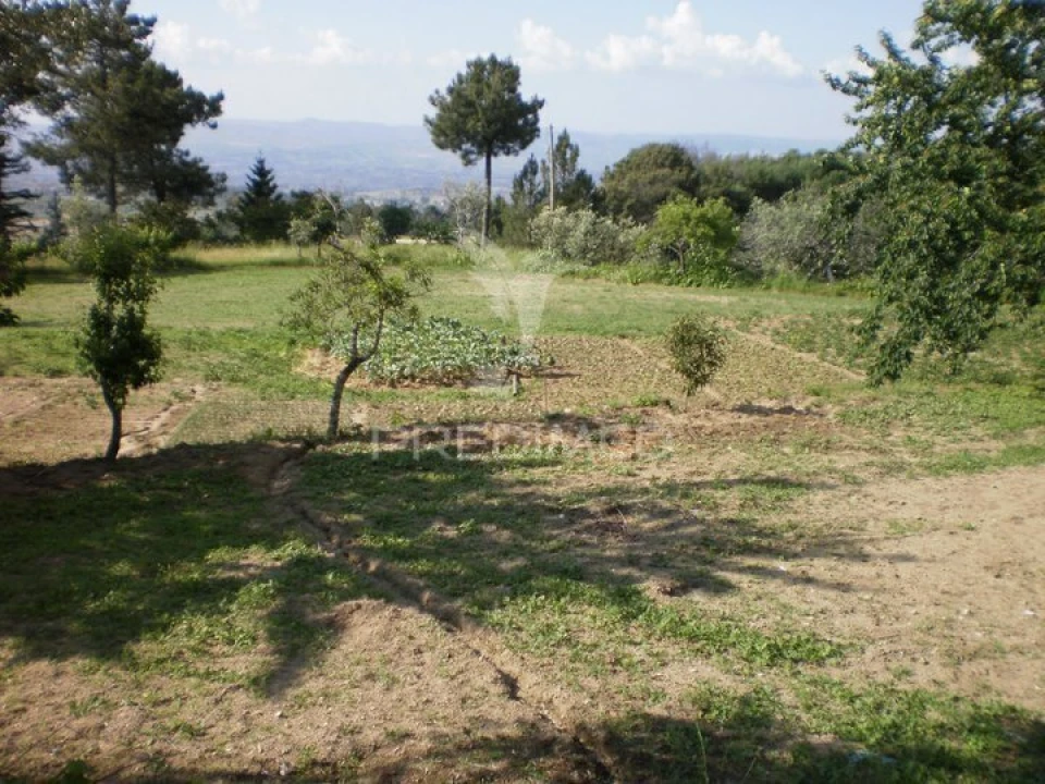 Quinta T6 para Venda em Gouveia (São Pedro e São Julião) Foto 11