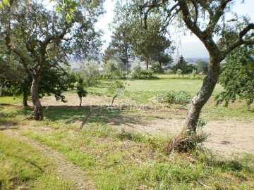 Quinta T6 para Venda em Gouveia (São Pedro e São Julião)