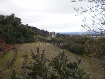 Quinta T6 para Venda em Gouveia (São Pedro e São Julião)